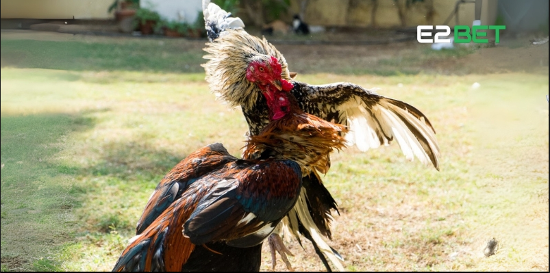 Giá trị cốt lõi mà nền tảng E2BET mang lại