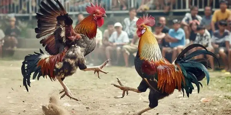 E2BET và tầm nhìn xây dựng cộng đồng đam mê chiến kê